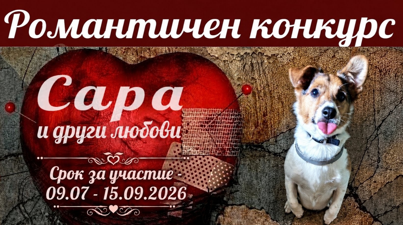 Плакат ''сара и други любови''