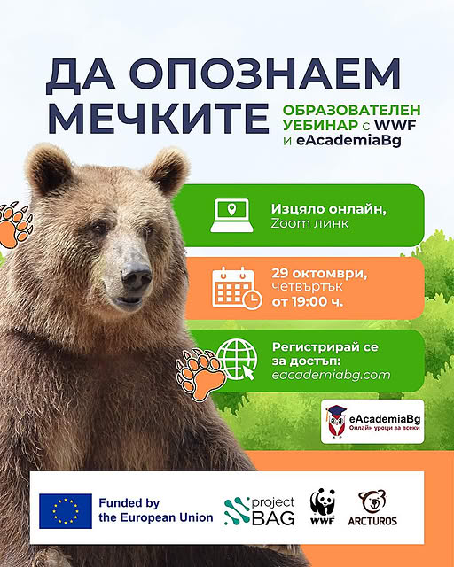 Плакат за образователен уебинар