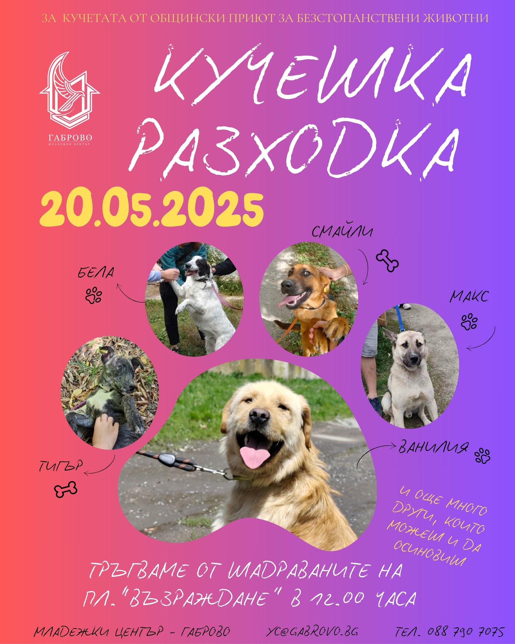 Плакат за кучешка разходка
