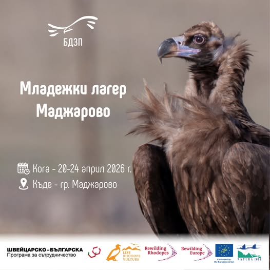 Плакат за Младежки лагер в Маджарово