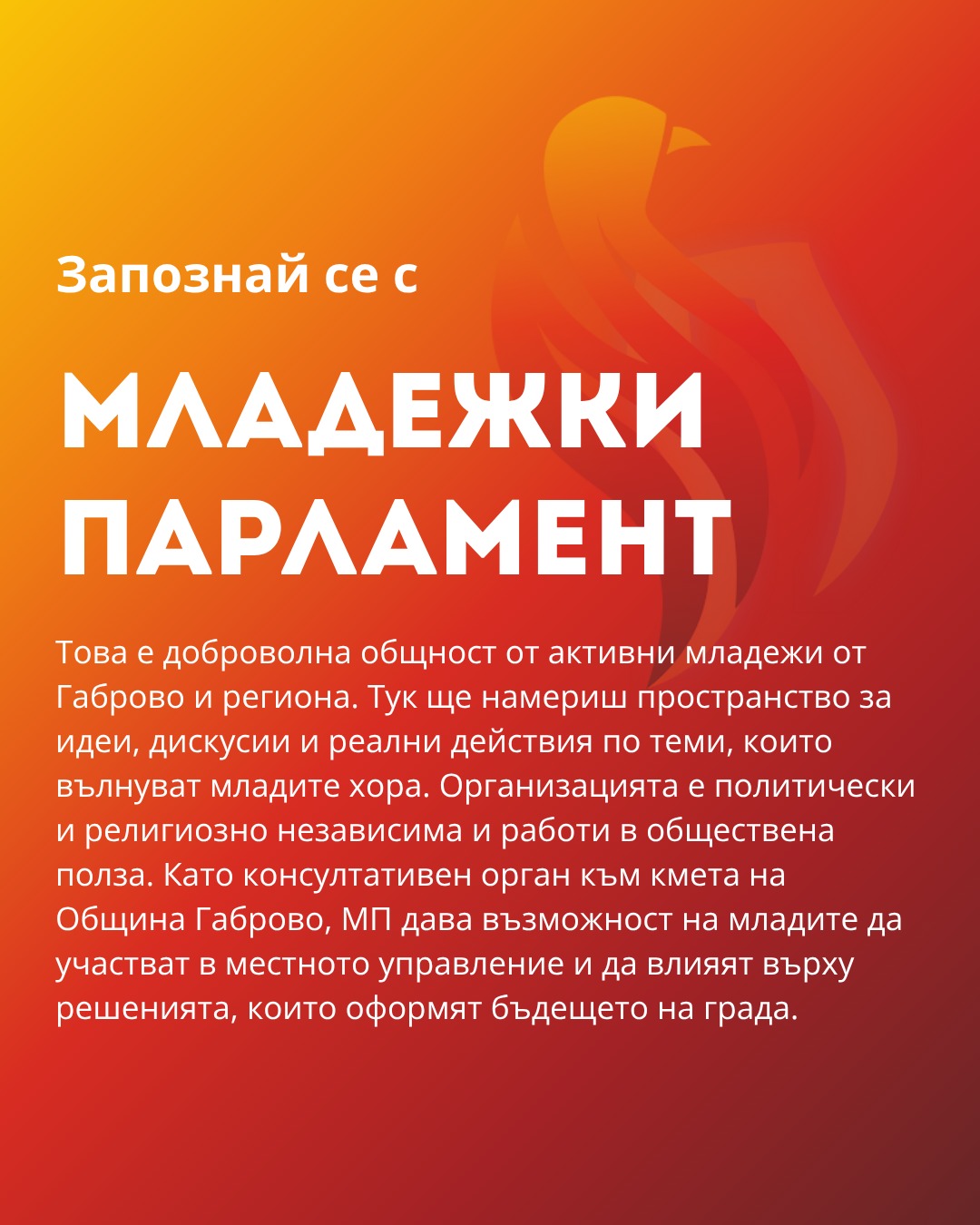 Плакат за първа среща на Младежки парламент стр 1